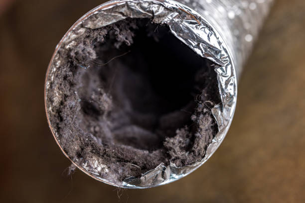 Best HVAC Air Duct Cleaning  in Roundup, MT